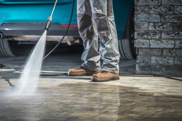 Best Factory Floor Cleaning  in Ness City, KS